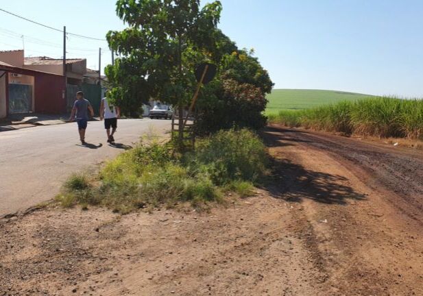 Estrada de terra paralela a casas do Luiz Massud Coury